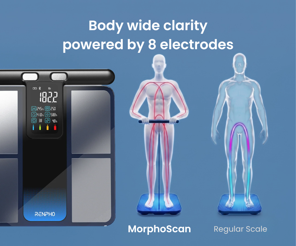 MorphoScan Smart Body Scale